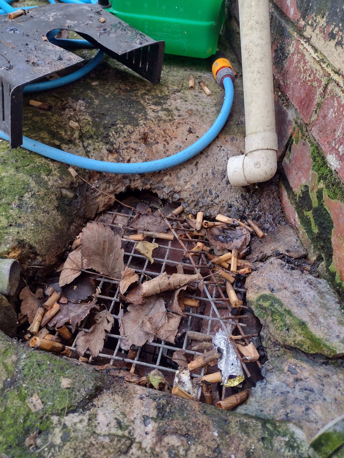 A drain gully under a downpipe with a bait station set beside it